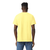 Gildan Heavy Cotton T-Shirt 5000