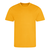 AWDis Cool T — 100% Polyester — Screen Print Included