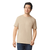 Gildan 4.5oz. Softstyle T-Shirt — 100% Cotton — Screen Print Included