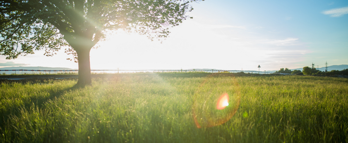 Make the Most of More Daylight