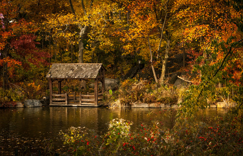How to Prepare Your Tankless Water Heater for Autumn and Winter in Europe 