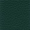 XTREME "Forest Green"