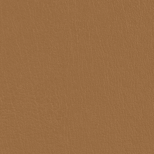 ColorGuard Bucksuede