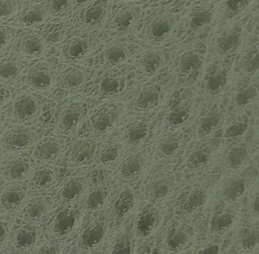 Skintex Ostrich "Mystic"