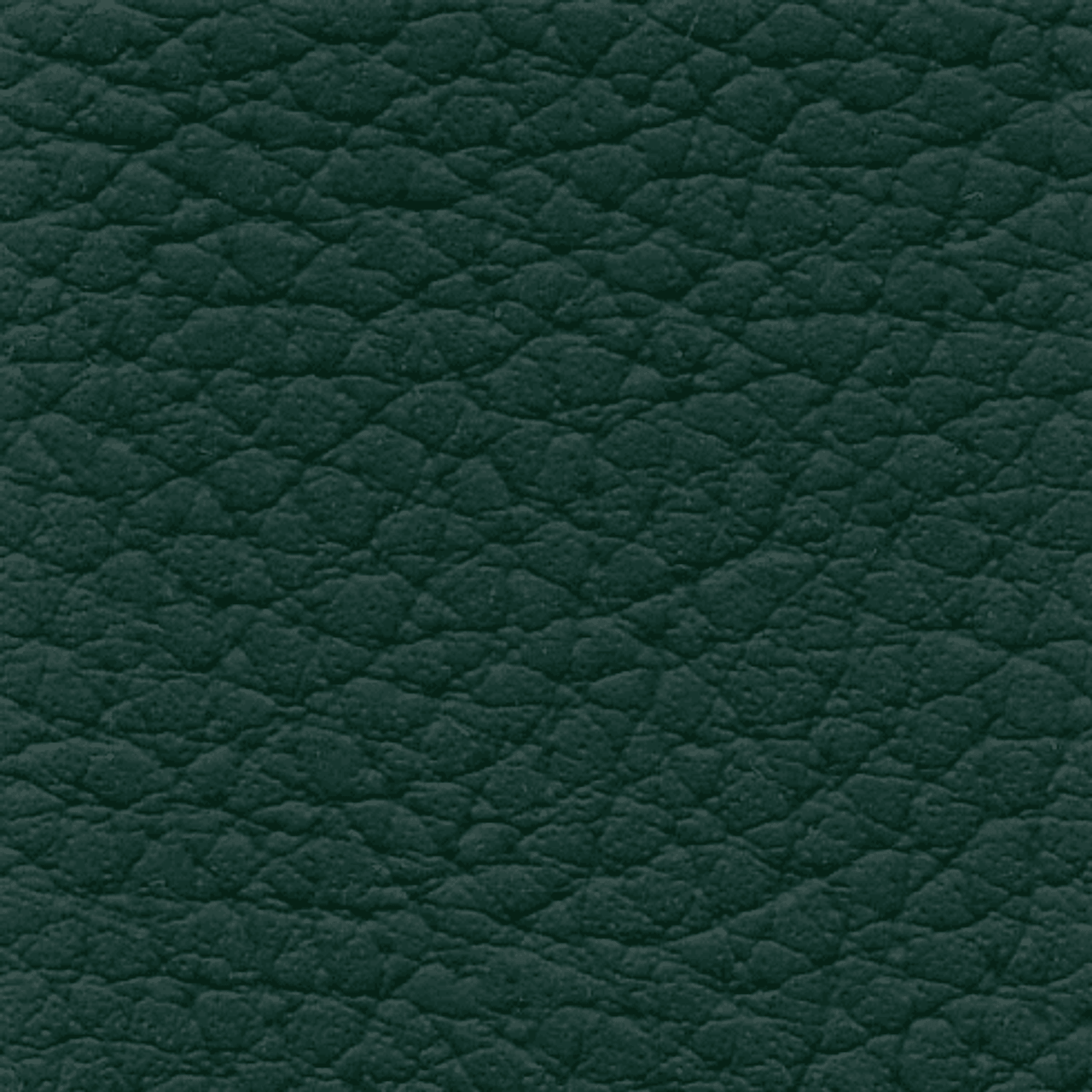 XTREME "Forest Green"
