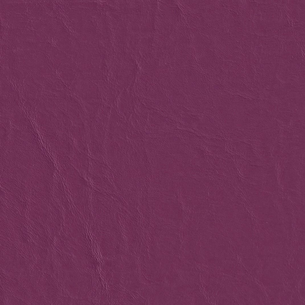 Capitano Wild Orchid