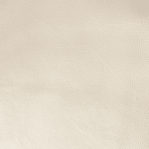 Catarina Beige Leather Hide