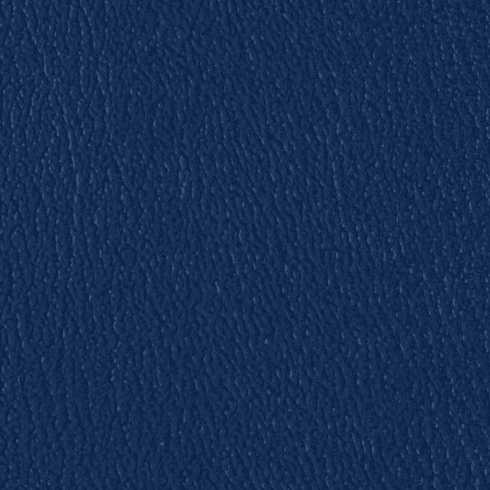 ColorGuard Blueberry