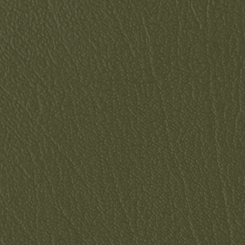 ColorGuard Everglade