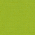 Michelangelo Lime