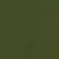 Michelangelo Olive