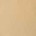 Fusion - Buff - Exceptional Polyurethane for Indoor/Outdoor Seating/Wall Covering BEING DISCONTINUED