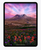 Apple iPad Pro 11-inch