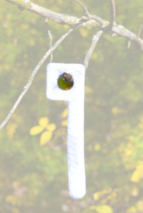 Wrc Scent Wick Key Wick - Magnum 2pk