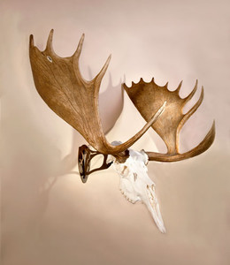Skull Hooker Big Hooker - Graphite Brown Skull Hooker Big Hooker - Graphite Brown