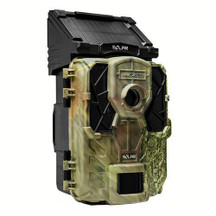 Trail Cams: Essential Gear for Scouting Deer