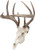 Allen Ez Mount Skull Peg - 3-pack Deer/antelope