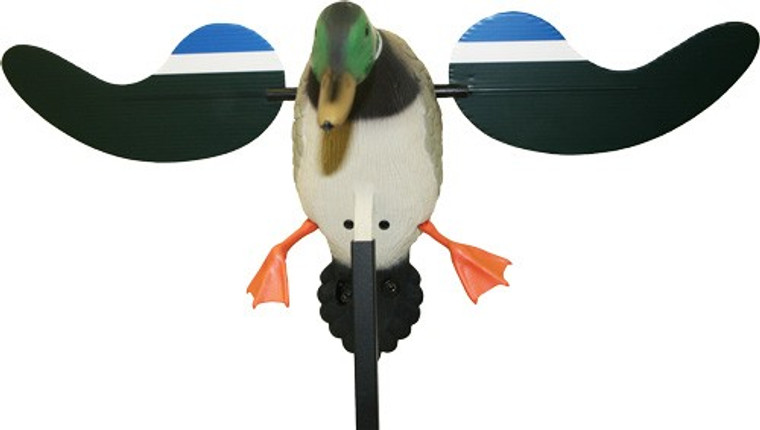 Mojo Baby Mojo Drake Decoy -