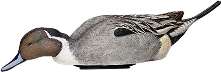 Avian X Power Shaker Pintail - Surface Feeder Decoy