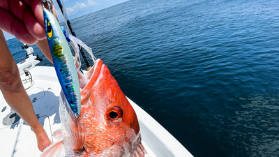 The Best Vertical Jig for Saltwater Fishing