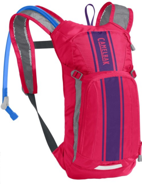 Camelbak Mini MULE - Azalea / Blue
