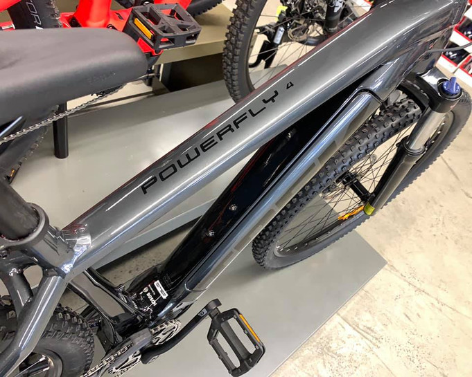 2021 trek powerfly 4