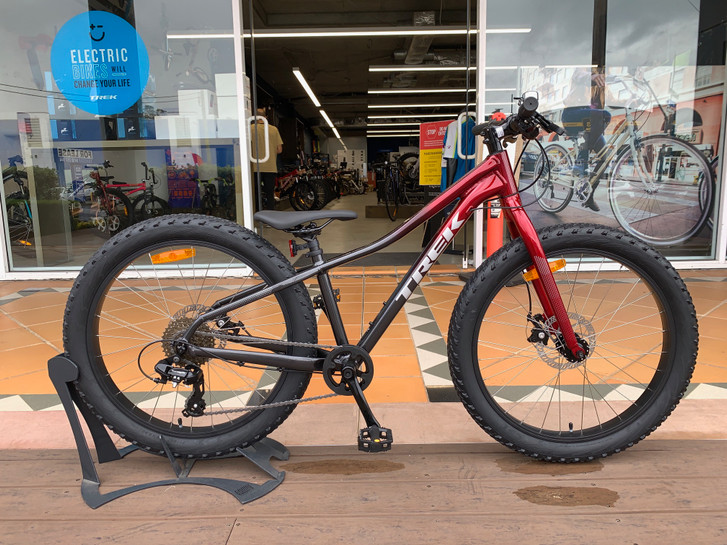 trek roscoe 24 stores