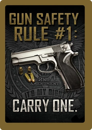 GUN SAFETY METAL SIGN 12"x17"