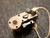 WADSN AIMING DEVICE RED LASER