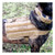 US Tactical K9 MOLLE Vest - Black, Medium - View 5