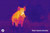 Alpen Apex Thermal Monocular - Outdoor Thermal Imaging - View 3