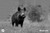 Alpen Apex Thermal Monocular - Outdoor Thermal Imaging - View 6