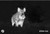 Alpen Apex Thermal Monocular - Outdoor Thermal Imaging - View 7