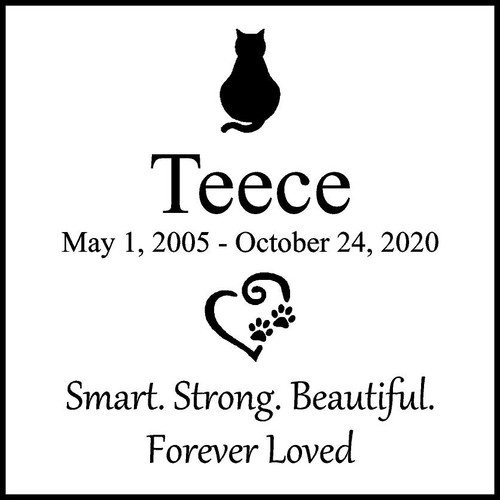 Memories Step Stone 11.5"x11.5" Teece_custom_2