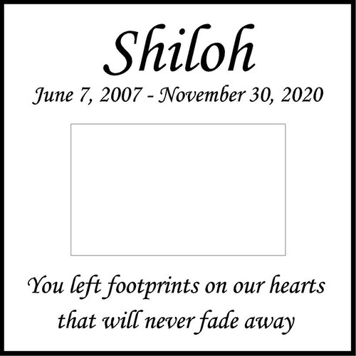 Memories Step Stone 11.5"x11.5" Shiloh_Honorthy pet