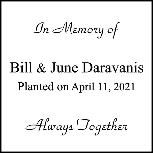 Memories Step Stone 11.5"x11.5" Bill & June Daravanis Memories Step Stone 11.5"x11.5" Bill & June Daravanis