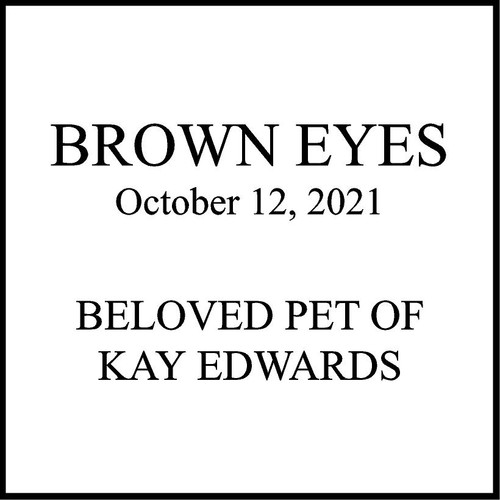Memories Step Stone 11.5"x11.5" BROWN EYES Memories Step Stone 11.5"x11.5" BROWN EYES