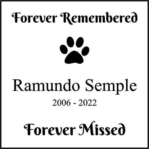 Memories Step Stone 11.5"x11.5 " Ramundo Semple.jpg