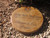 Personalized Engraved Memorial Garden Stone 11” Forever in Our Hearts