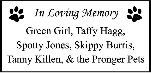 Personalized Engraved Memorial  Stone 11.5 x 5.5" PSS122R_FLFM_Green Girl, Taffy Hagg