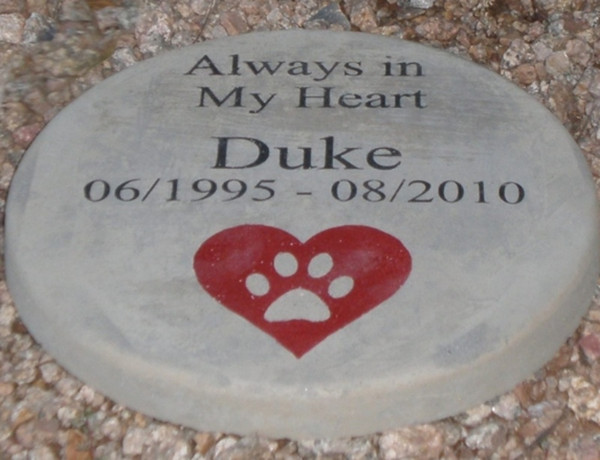 Personalized Engraved Pet Memorial  Stone 11' Diameter 'Always in My Heart'
