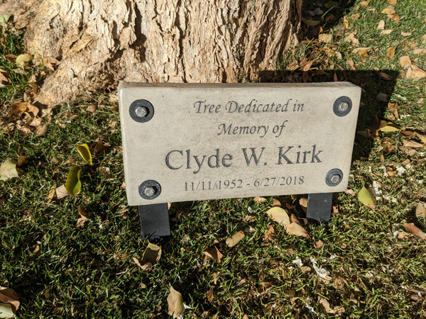 Personalized Engraved Memorial with Display Stand 11.5"x 5.5"   Tree is Dedicated in Memory