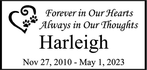 Personalized Engraved Memorial  Stone 11.5 x 5.5" HARLEIGH