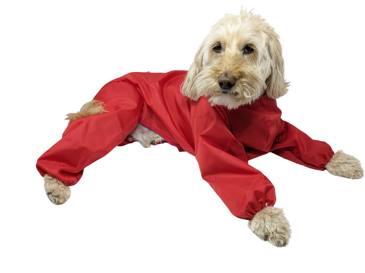 Doggie Coats Trouser Suit Luxury Waterproof Dog Rain Coat  eBay