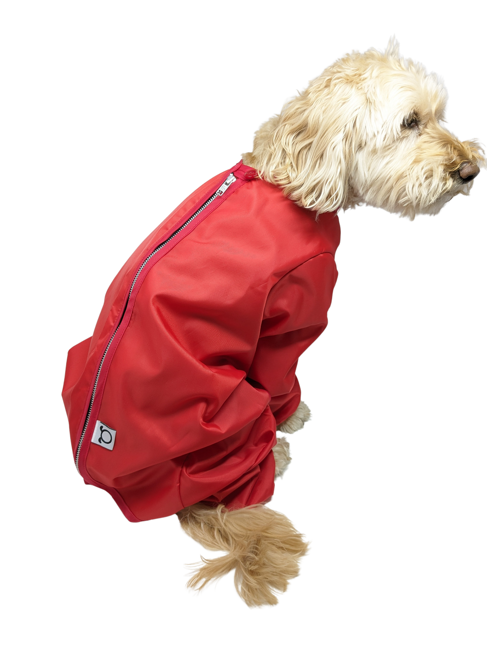 Cheap waterproof dog trouser suits big sale  OFF 64