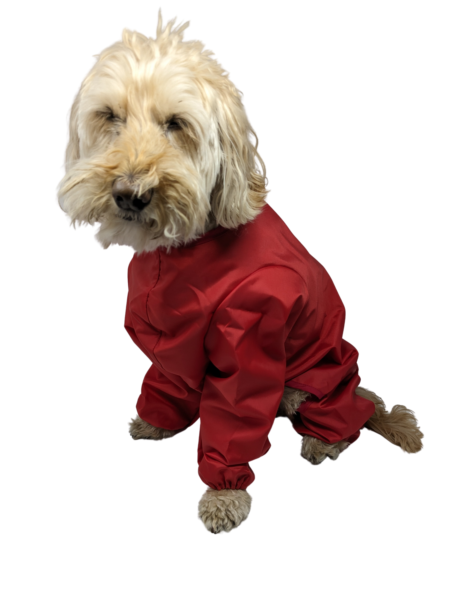 Dog Trouser Suit Shop Waterproof Dog Coats Doggie Coats