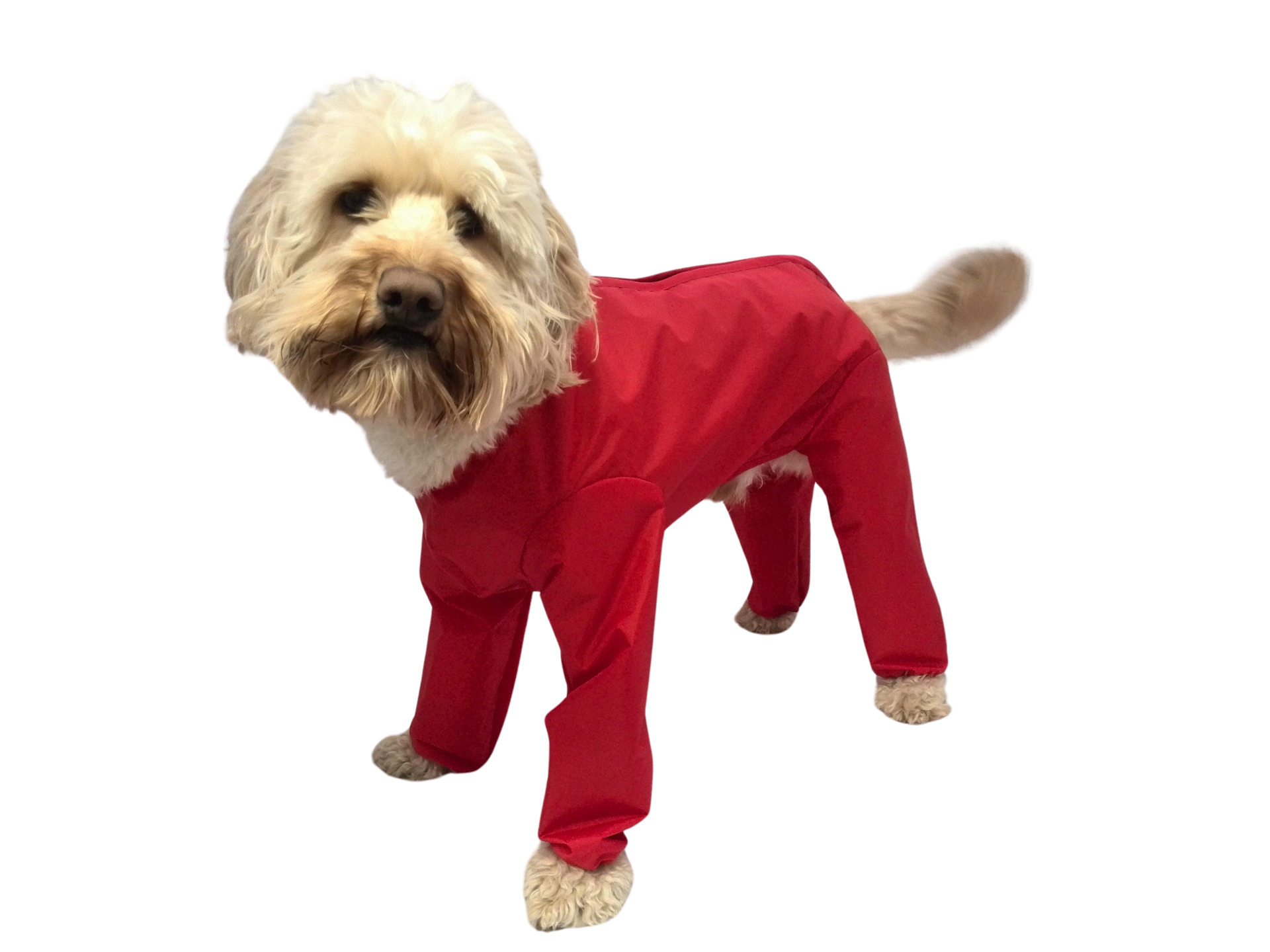 Waterproof Dog Coats Handmade in the UK Doggie Coats