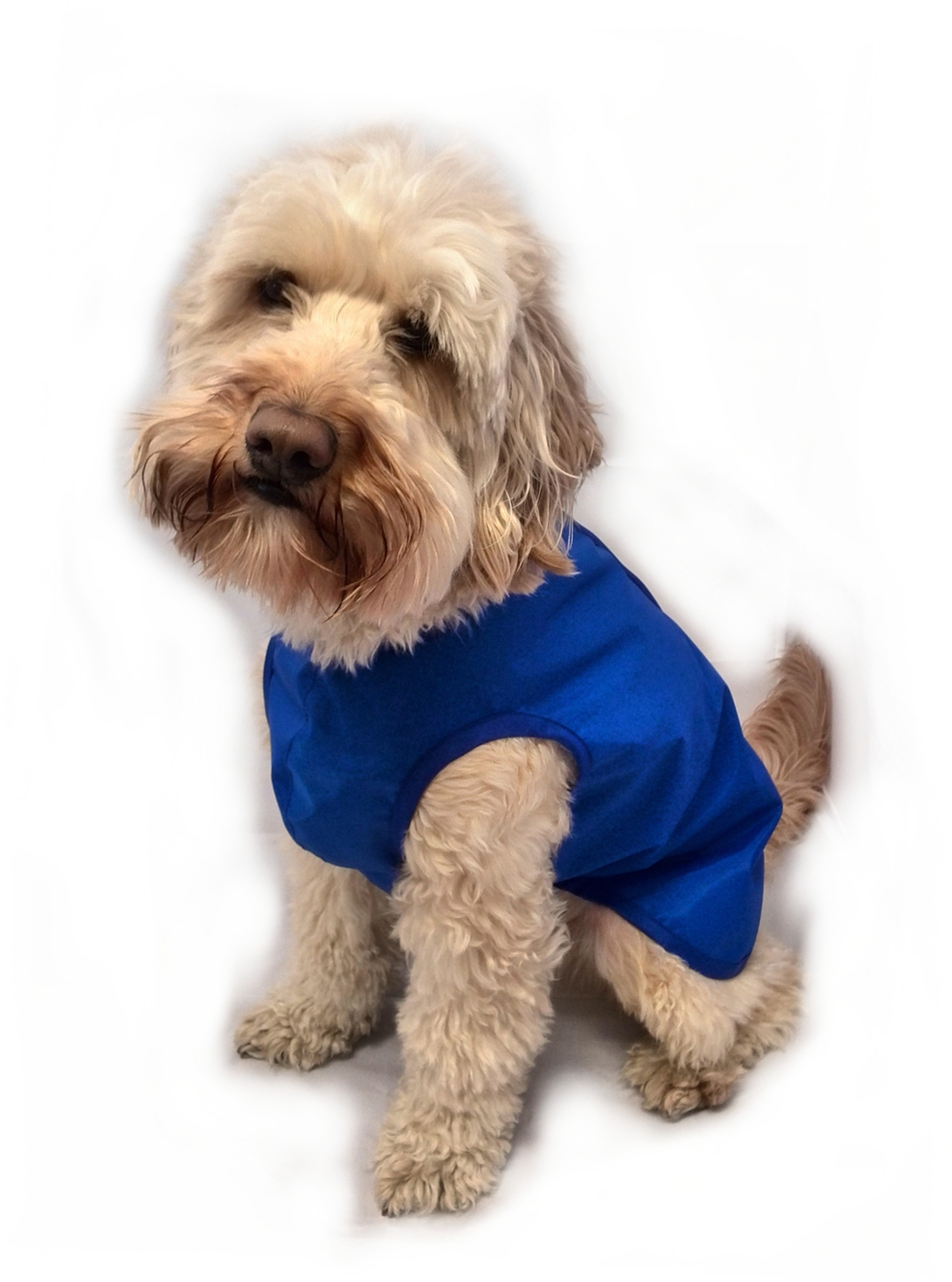 Waterproof Dog Coats Handmade in the UK Doggie Coats