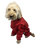 Trouser Suit Red Waterproof Dog Coat Red