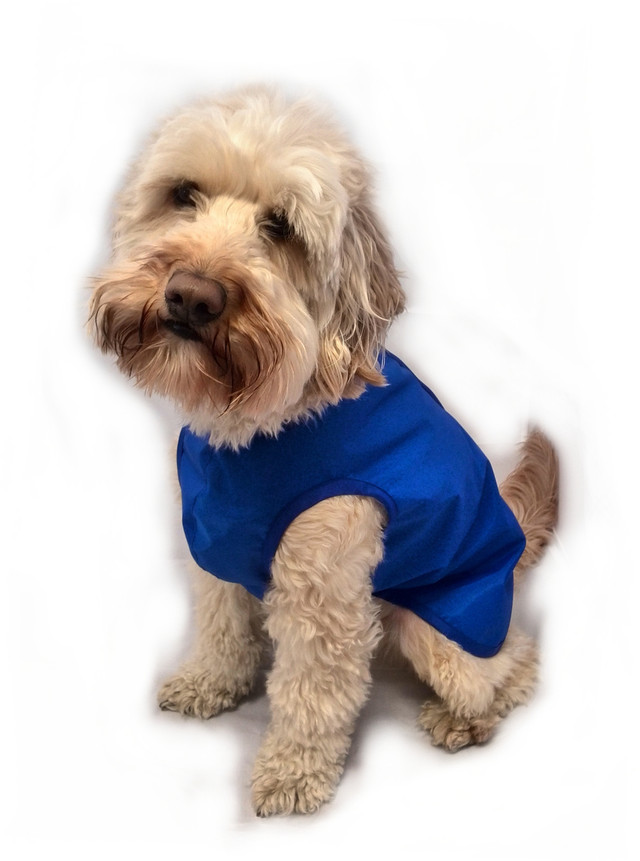 Waterproof Dog Coats Handmade in the UK Doggie Coats